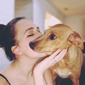 Meet your Posher, Bailey